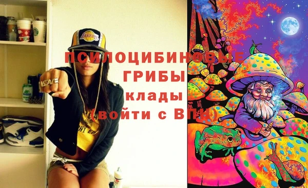 трава Аркадак