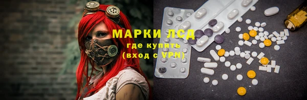 трава Аркадак