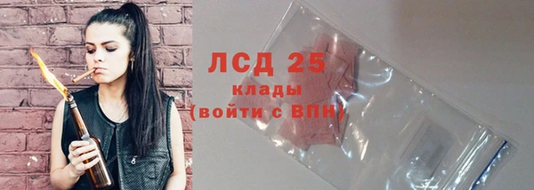 стаф Арсеньев