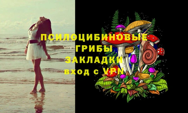 стаф Арсеньев