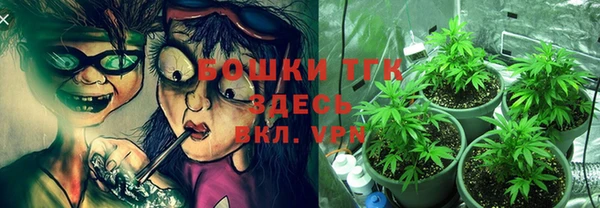 стаф Арсеньев