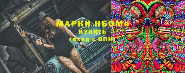 стаф Арсеньев