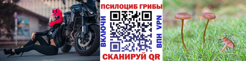 Купить закладки  Белебей  Псилоцибиновые грибы ЛСД 